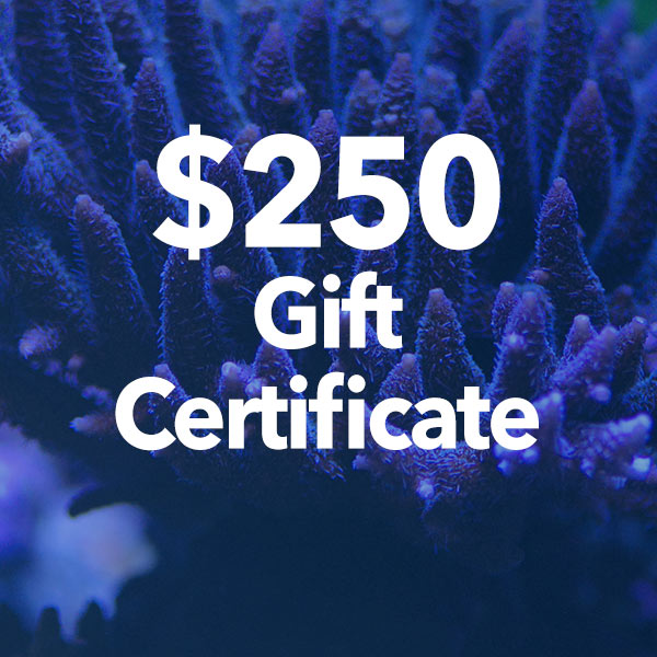 $250 liveaquaria gift certificate