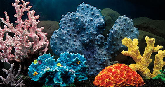 https://www.liveaquaria.com/images/articles/a-554-artificial-corals-FS71104C_085.jpg
