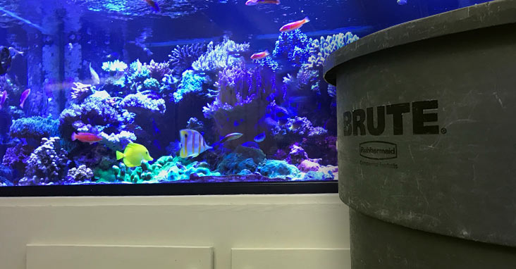 How to create a saltwater mixing container