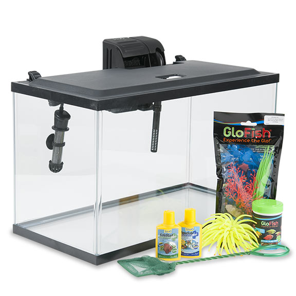 Liveaquaria Approved Aquatic Supplies: Tetra Glofish® 10-gallon 