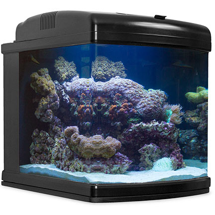 LiveAquaria Approved Aquatic Supplies: 28G Nano-Cube WIFI AIO Aquarium ...