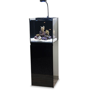 LiveAquaria Approved Aquatic Supplies: JBJ Rimless Flat Panel Complete ...