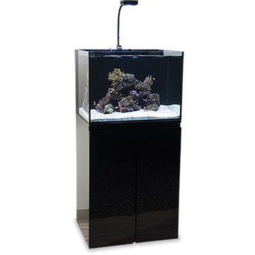 LiveAquaria Approved Aquatic Supplies: JBJ Rimless Flat Panel Complete ...