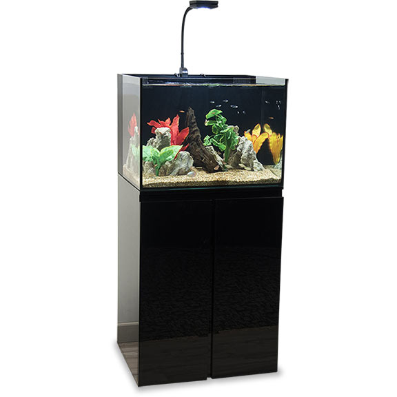 LiveAquaria Approved Aquatic Supplies JBJ Rimless Flat Panel Complete