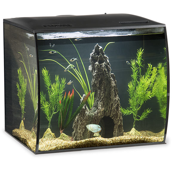 LiveAquaria Approved Aquatic Supplies: Fluval Flex Complete Aquarium ...