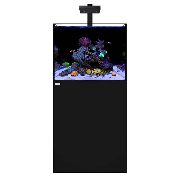 WATERBOX REEF 70.2 +PLUS HD EDITION BLACK | LiveAquaria | Aquarium ...