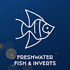 Freshwater Fish & Inverts