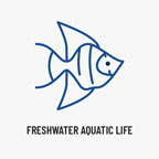 Freshwater Aquatic Life