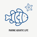 Marine Aquatic Life