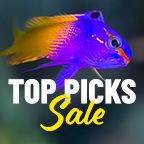 Newsletter Subscribers Super Specials