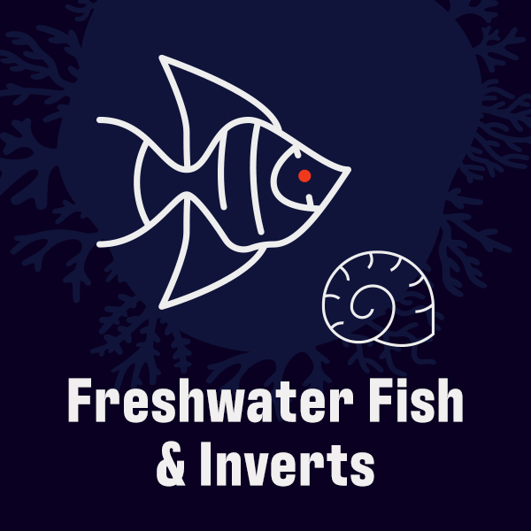 Freshwater Fish & Invertebrates