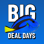 Big Deal Days Sale