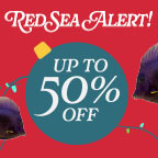 Red Sea Sale