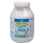 API POND POND SALT