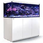 Red Sea REEFER™ XXL 625 Rimless Reef Ready System, White