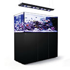 Red Sea REEFER™ DELUXE Peninsula 650 Rimless Reef Ready System, Black