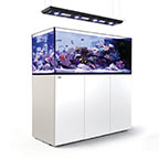 Red Sea REEFER™ DELUXE Peninsula 650 Rimless Reef Ready System, White 