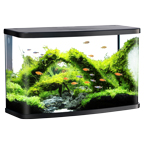 LiveAquaria® Curved-Edge Aquarium