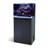 LiveAquaria  Quality Aquarium Fish, Supplies & Equipment