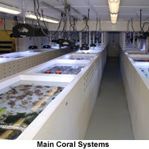 Main Coral Systems