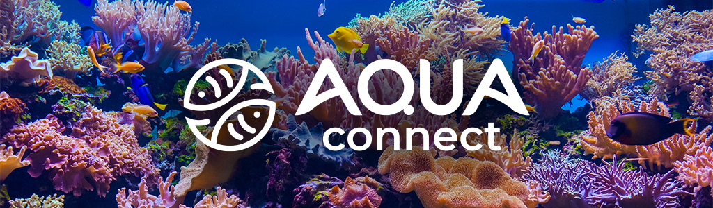 LiveAquaria® Black Friday Premium Species Now Available