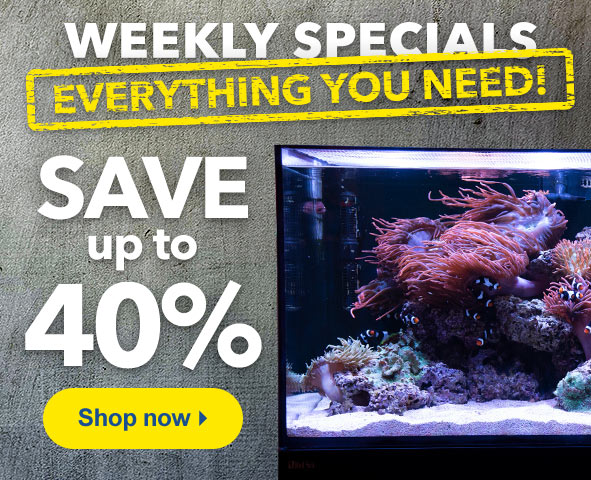 45+ Design An Aquarium Online Terbaru