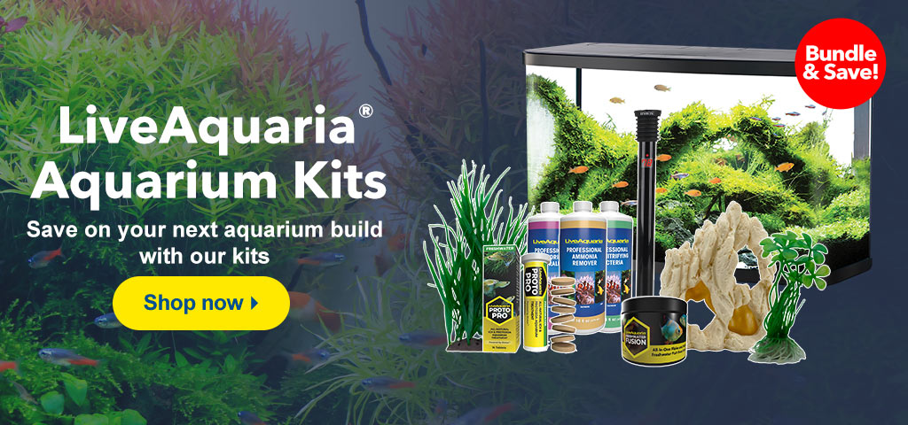 Discount hotsell aquarium supplies