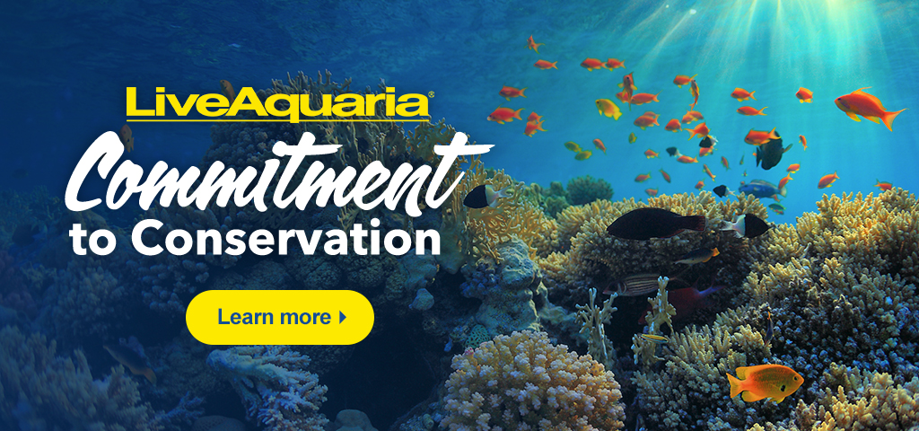 LiveAquaria | Quality Aquarium Fish, Supplies & Equipment