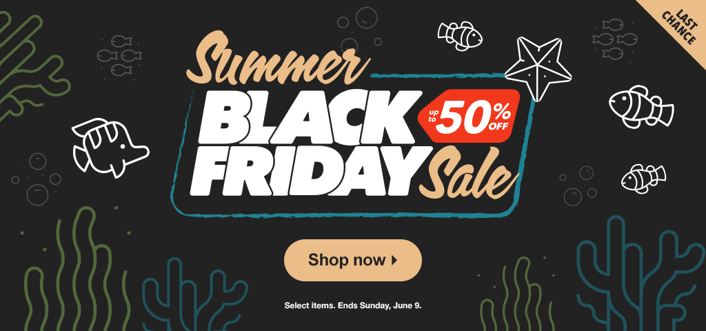 Save up to 50% with Summer Black Friday