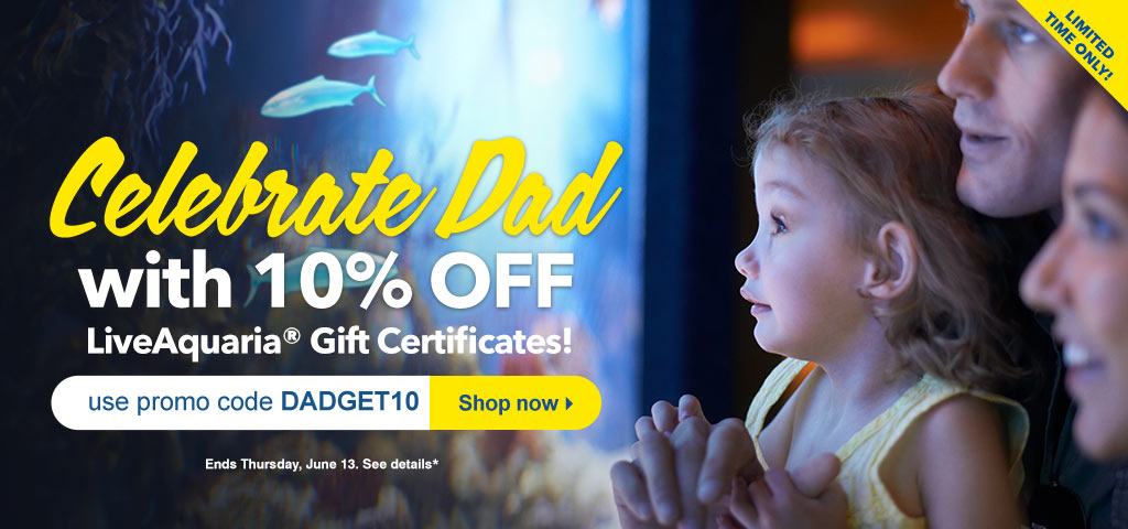 Celebrate Dad with 10% OFF LiveAquaria Gift Certificates