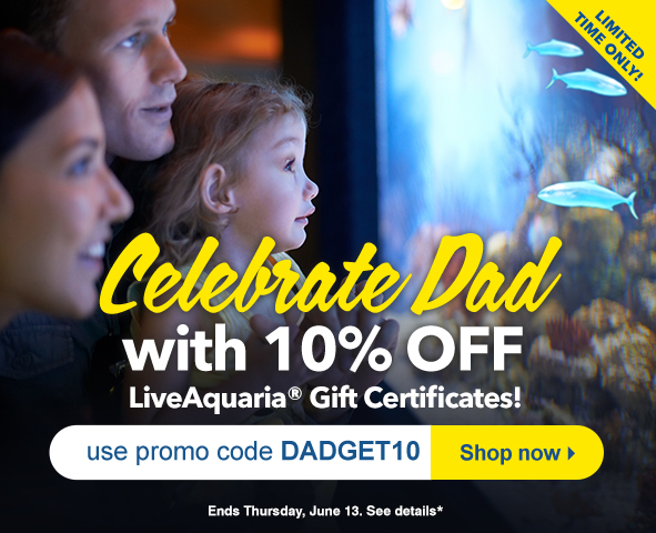 Celebrate Dad with 10% OFF LiveAquaria Gift Certificates