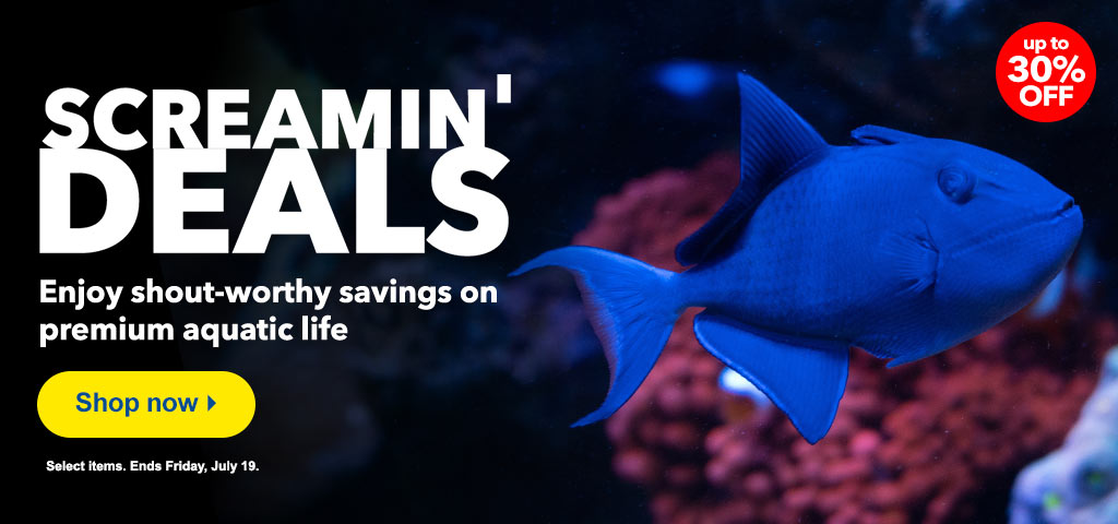 Screamin’ Deals! Get big savings on over 100 species