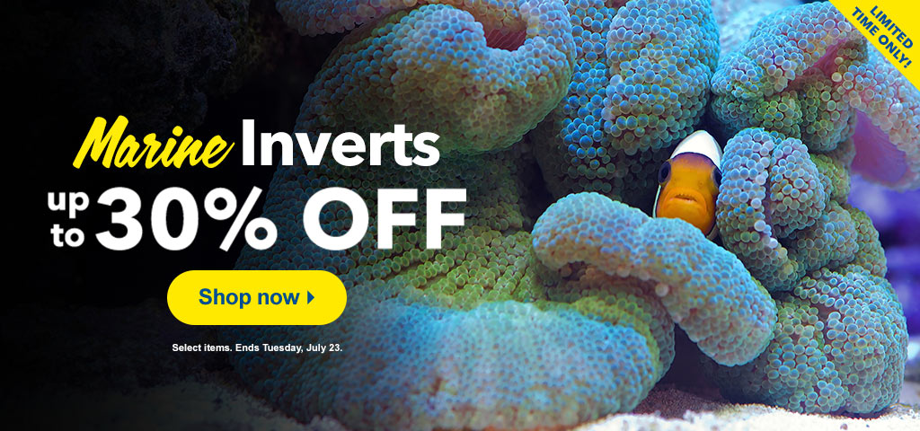 Save up to 30% on select inverts. Impress for less!