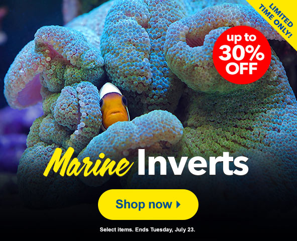 Save up to 30% on select inverts. Impress for less!