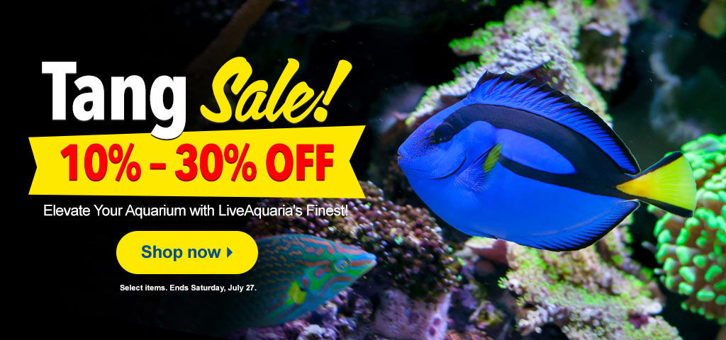 Save Today on Tangs!