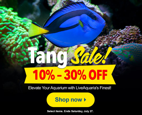 Save Today on Tangs!