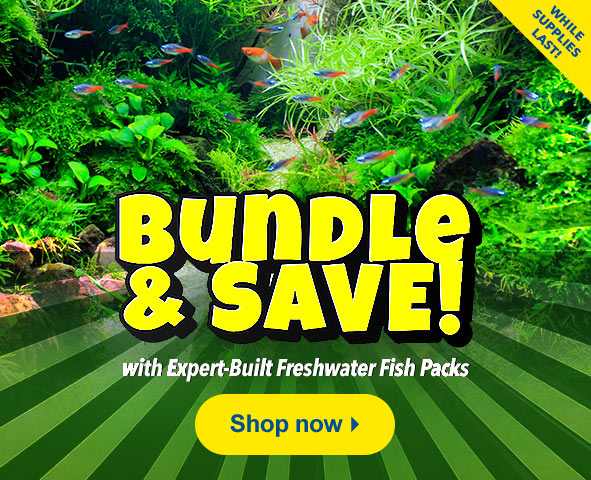 Bundle and Save with Freshwater Fish Packs