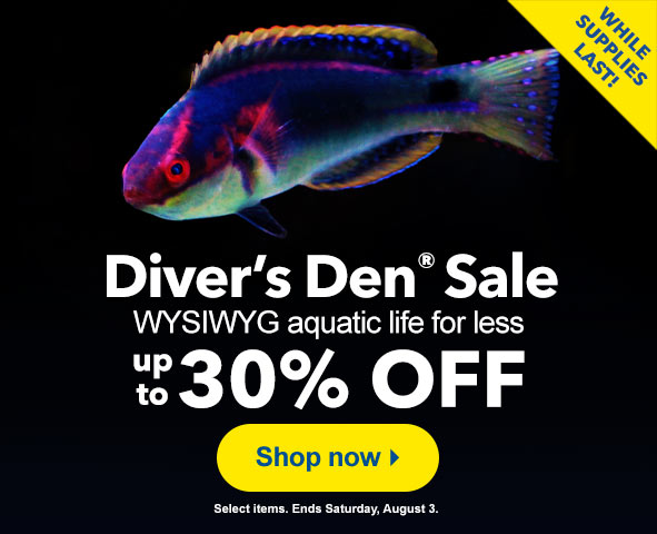 Diver's Den Sale