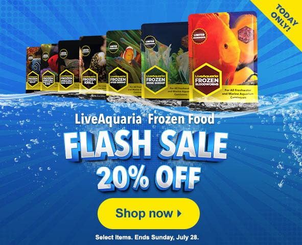 Frozen Food Flash Sale
