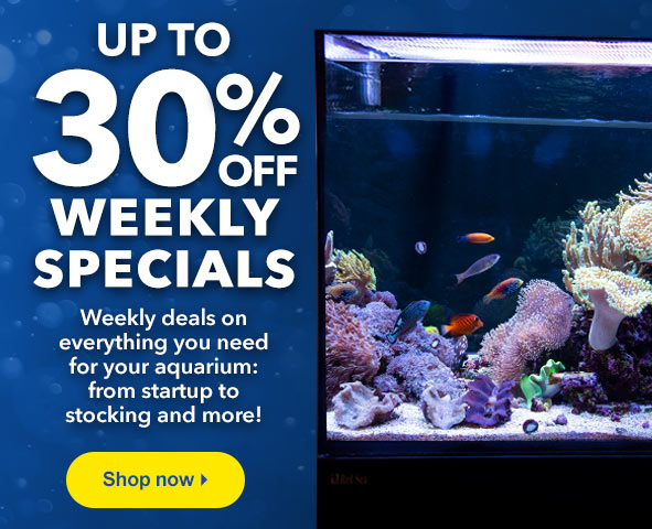 discount aquarium supplies