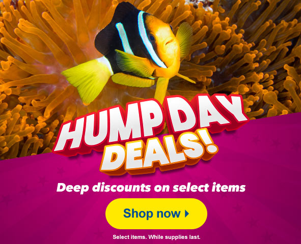 Hump Day Deals!