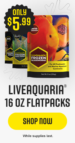 LiveAquaria Flatpacks 50% OFF