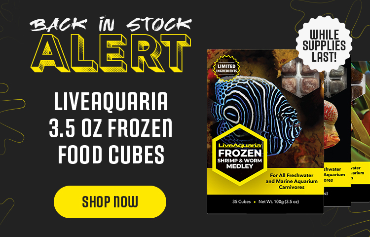 Frozen Food Cubes Back in Stock!