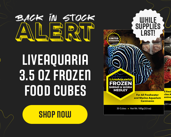 Frozen Food Cubes Back in Stock!